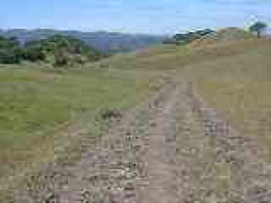 Stonegate Trail