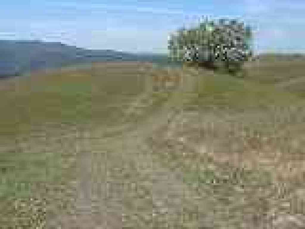 Foothills Trail