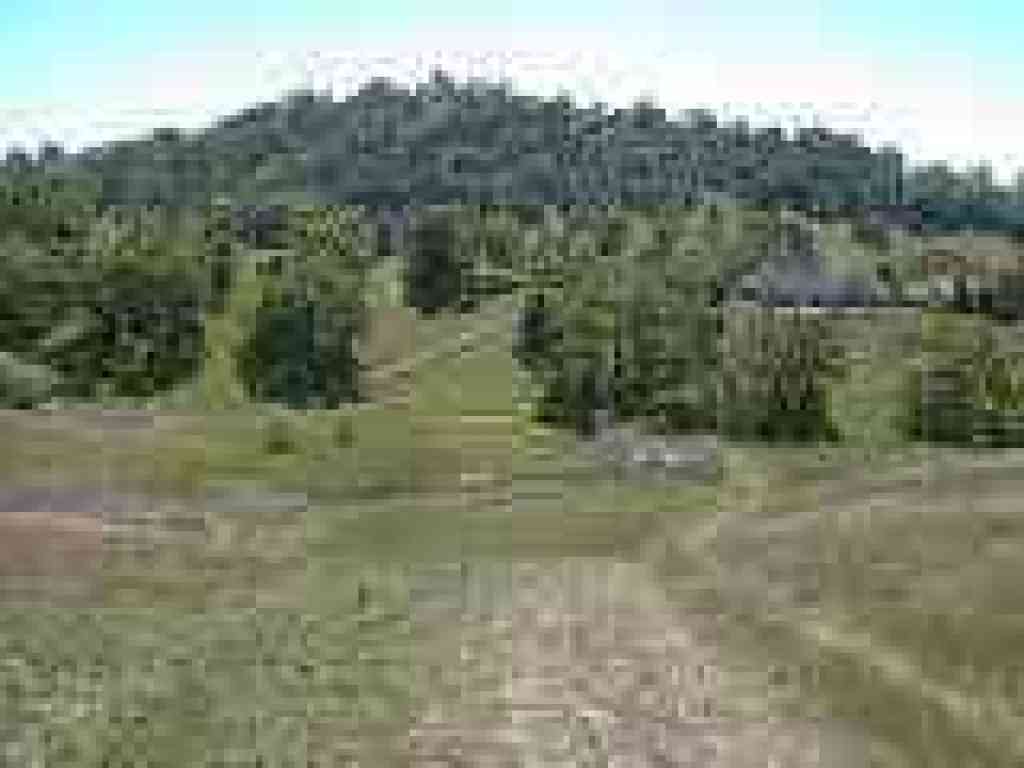 Trail dips to a pond