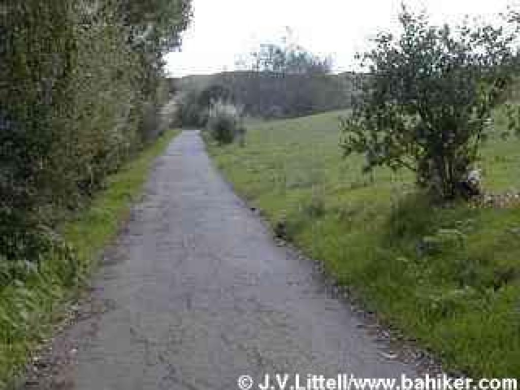 Old Homestead Trail