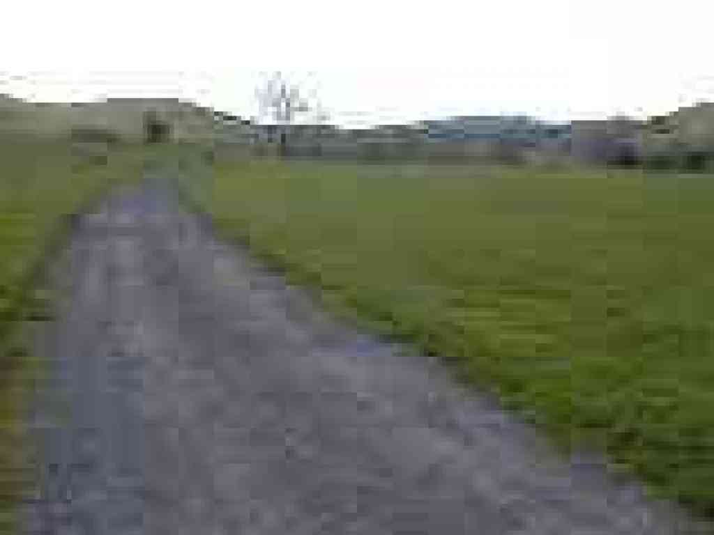 Trail