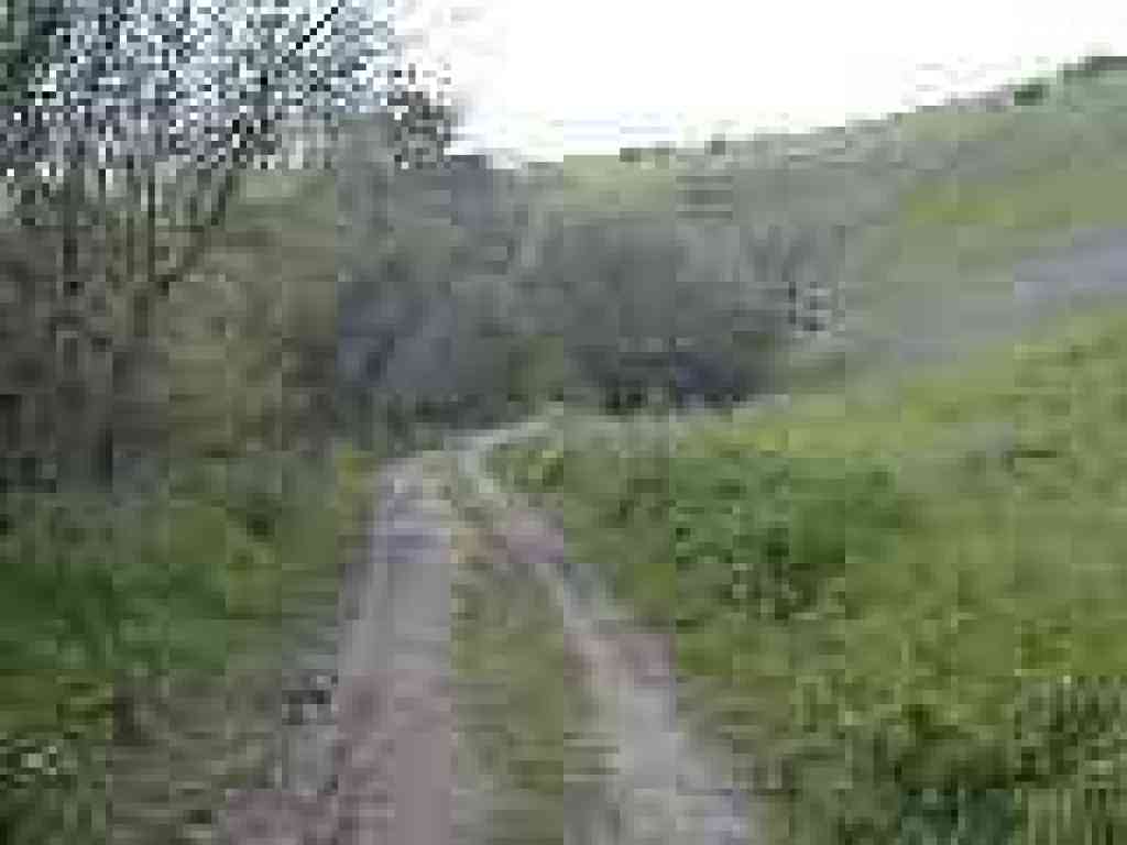 Trail at pond's edge