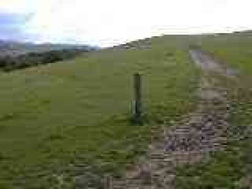 Junction