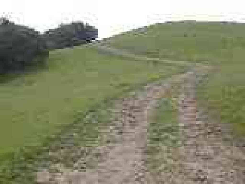 High Ridge Loop Trail