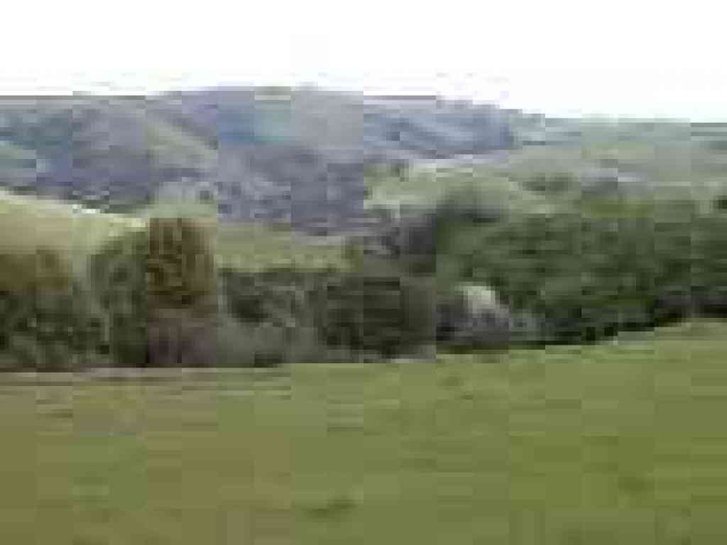 View east