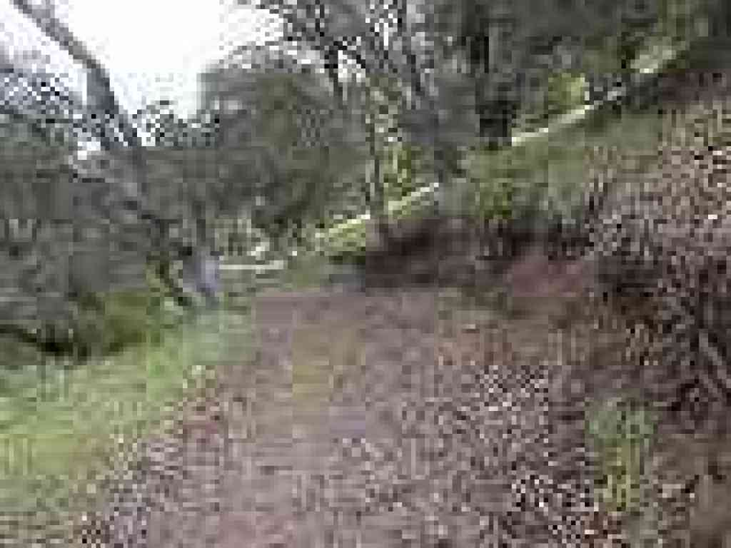 Climbing