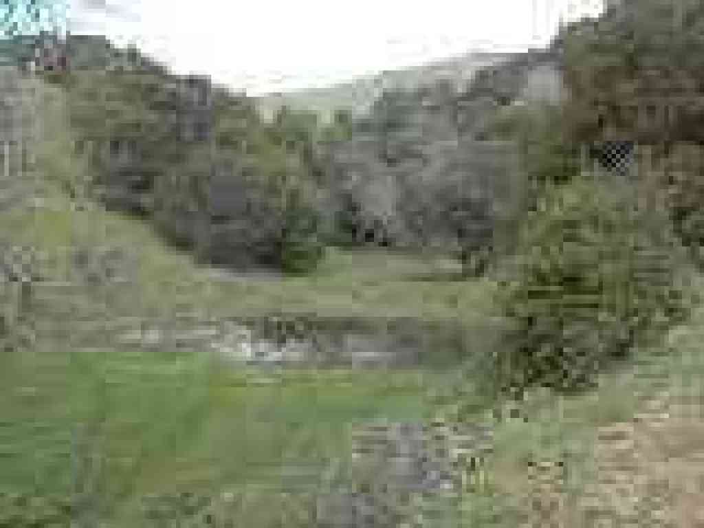 Little pond