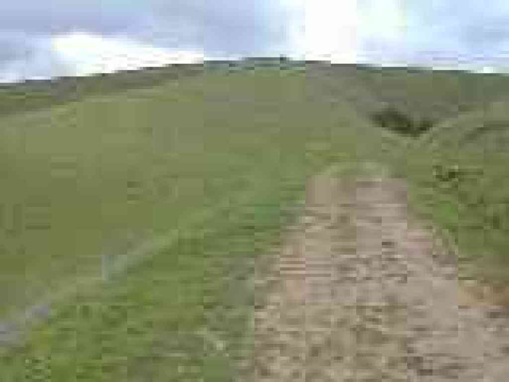 High Ridge Loop Trail