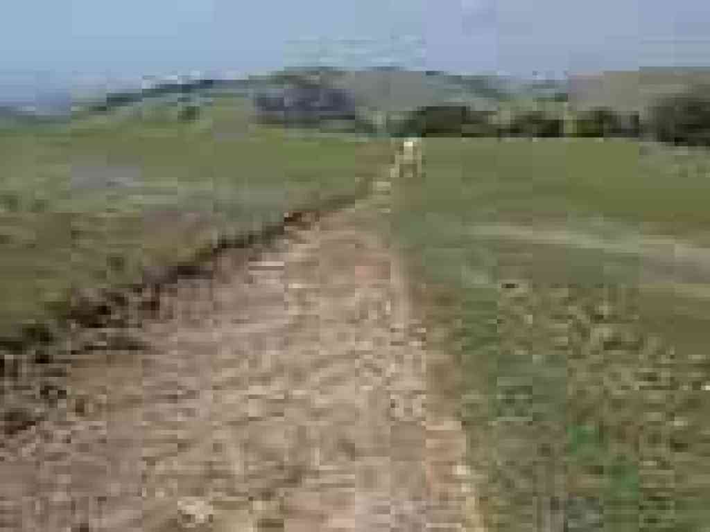 Approaching junction