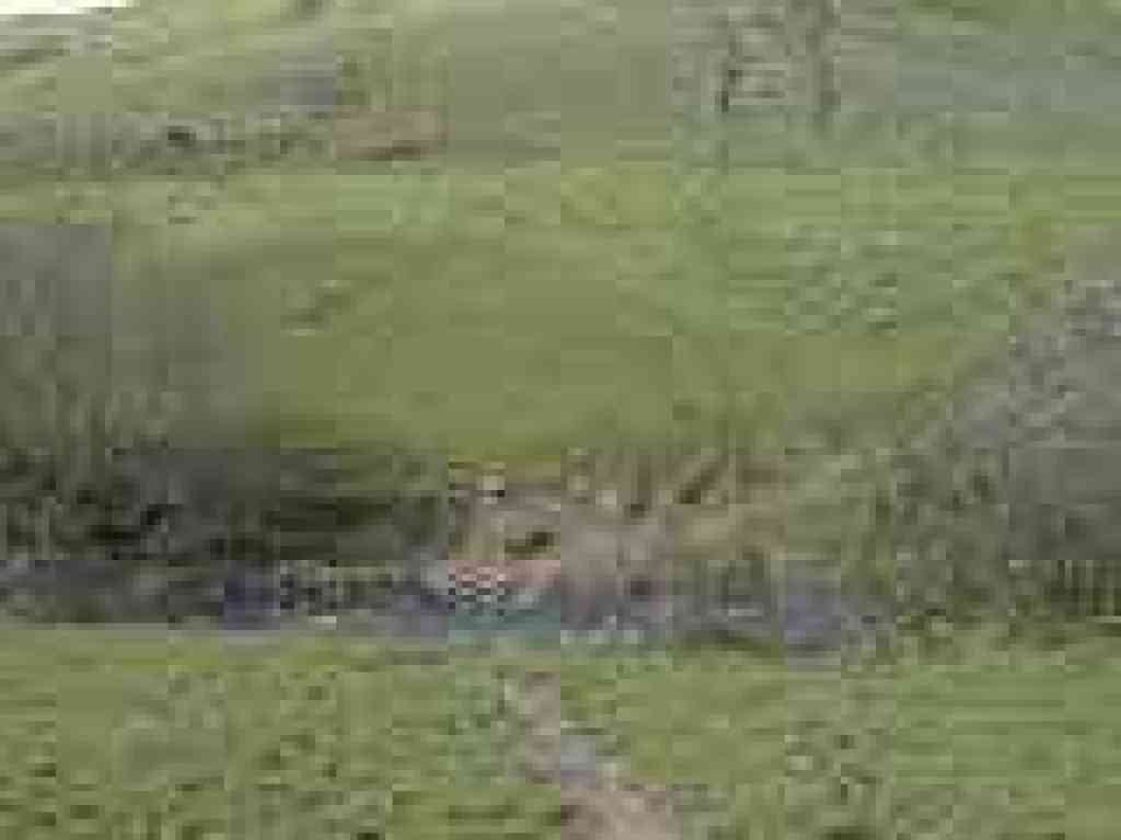 Crossing the creek