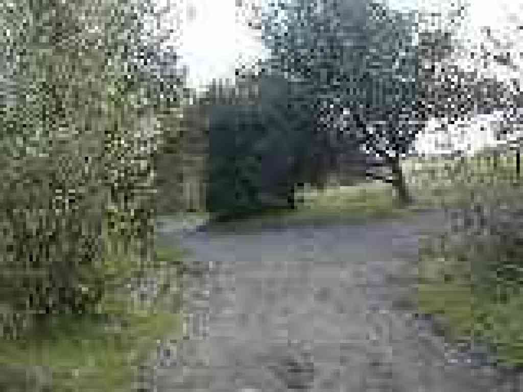 Junction with campground road