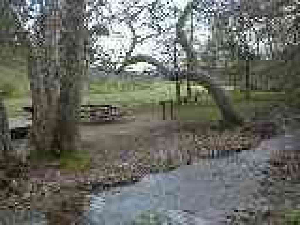 Picnic area