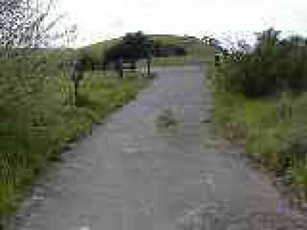 Gate at the end of the trail