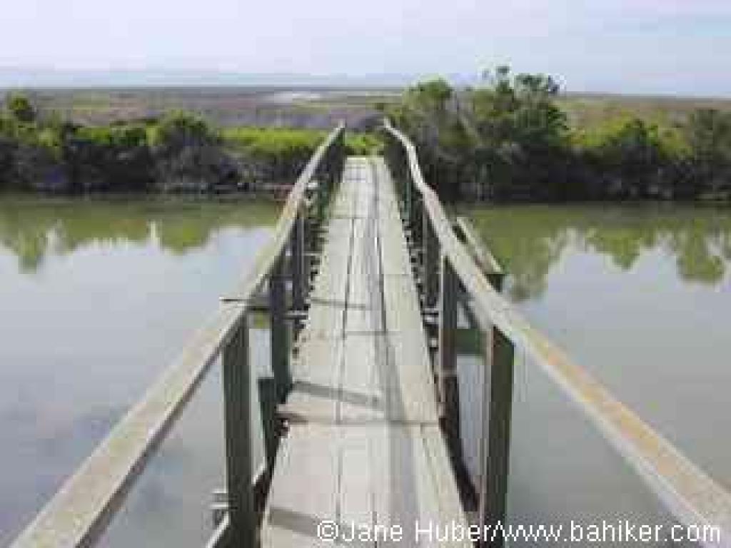 Footbridge over Grizzly Slough