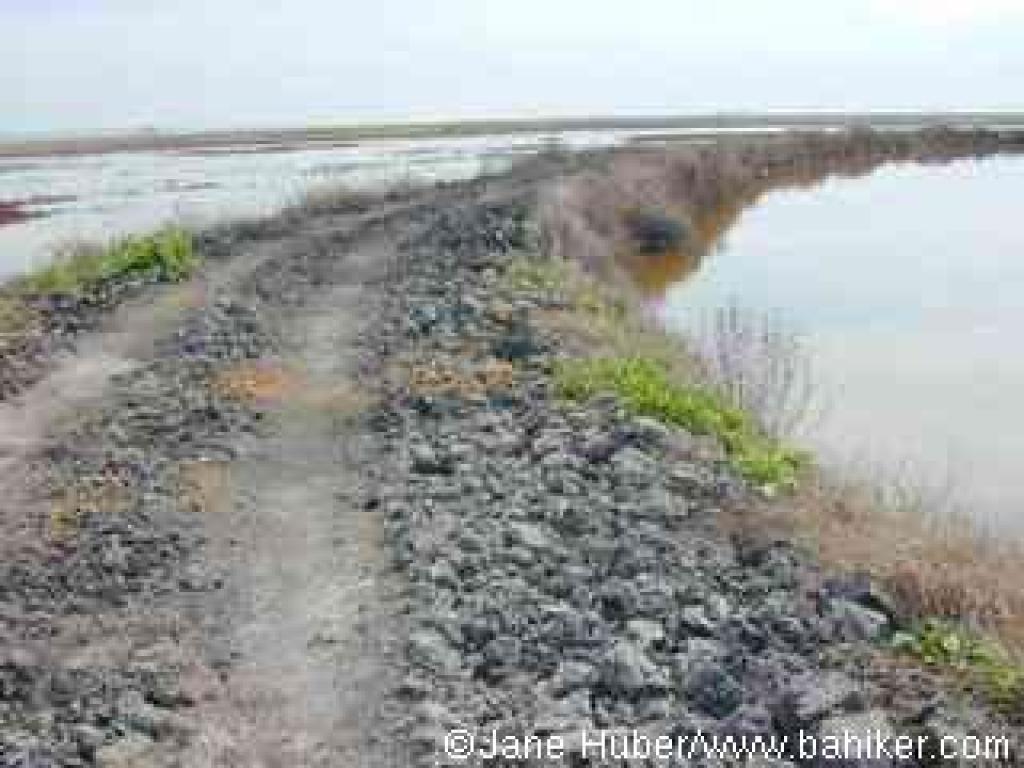 Levee Trail