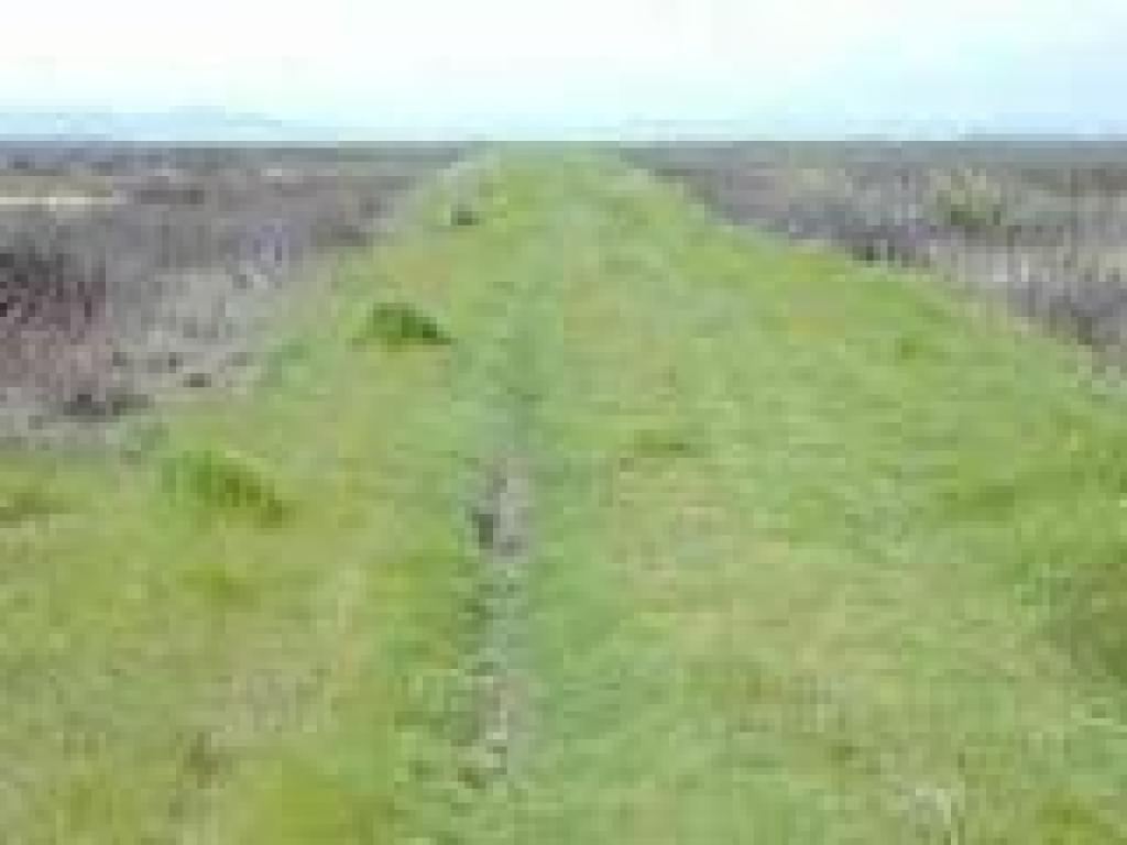 Levee trail