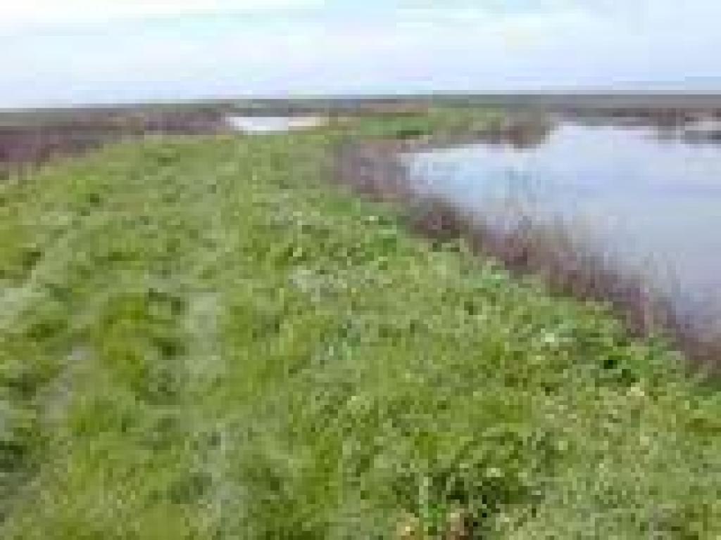 Trail