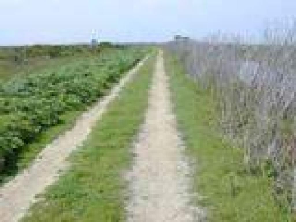 Along Grizzly Slough