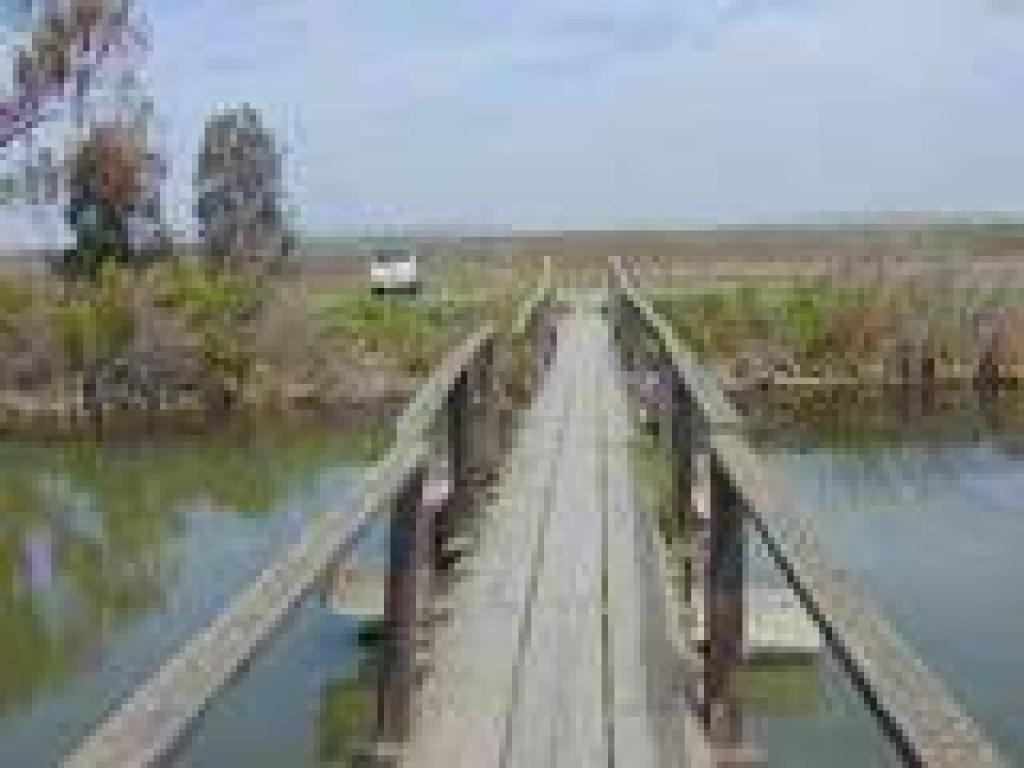 Back on the bridge