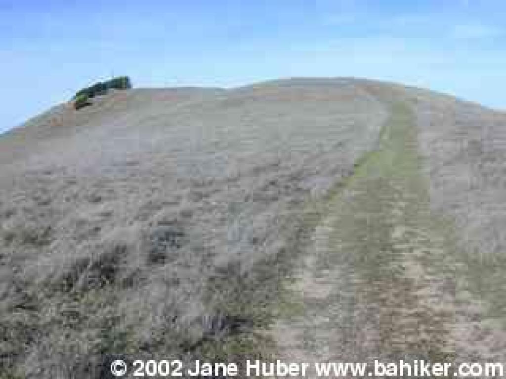 Climbing to the tallest hill