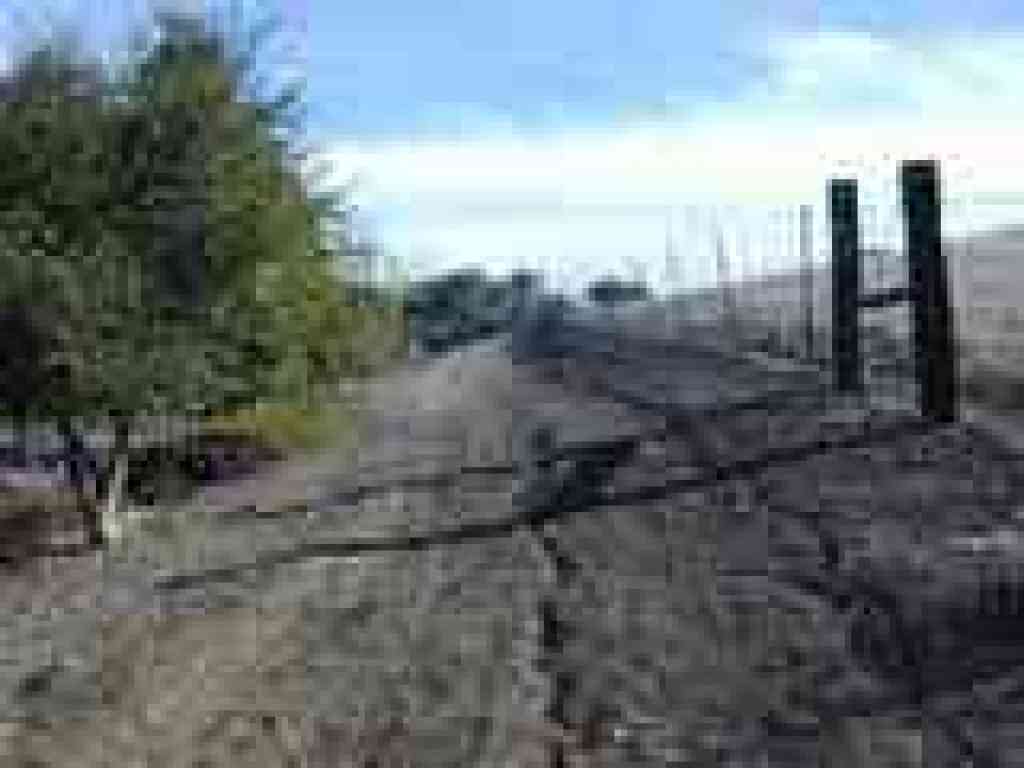Along the fenceline