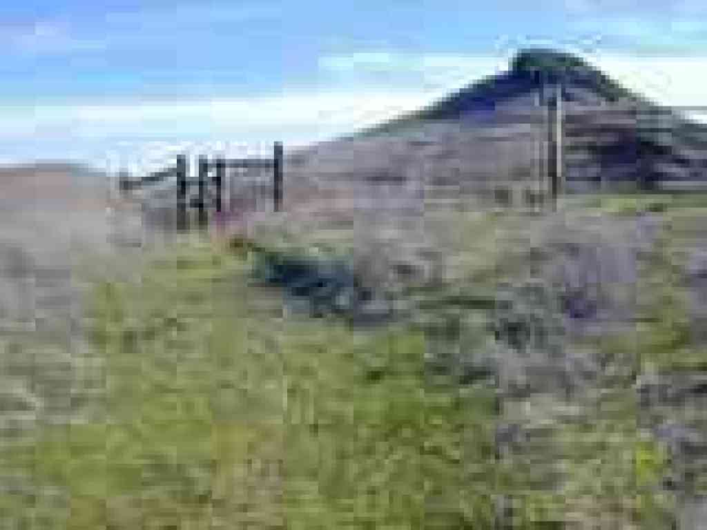 Cattle gate
