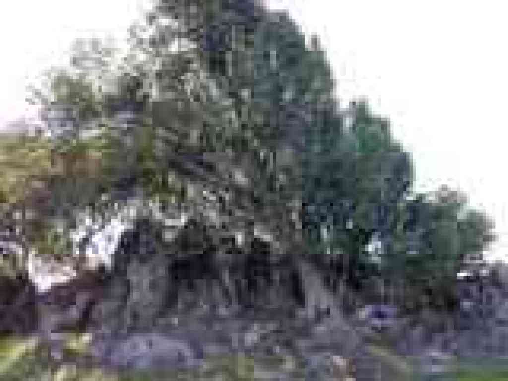 Rocks