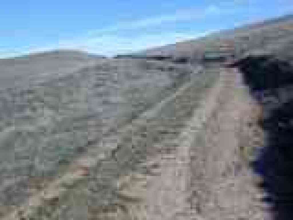 Grassland