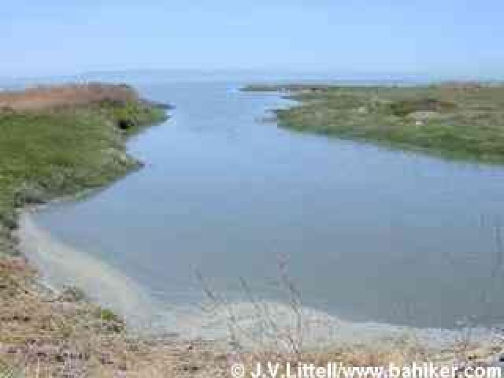 A look west along the shoreline