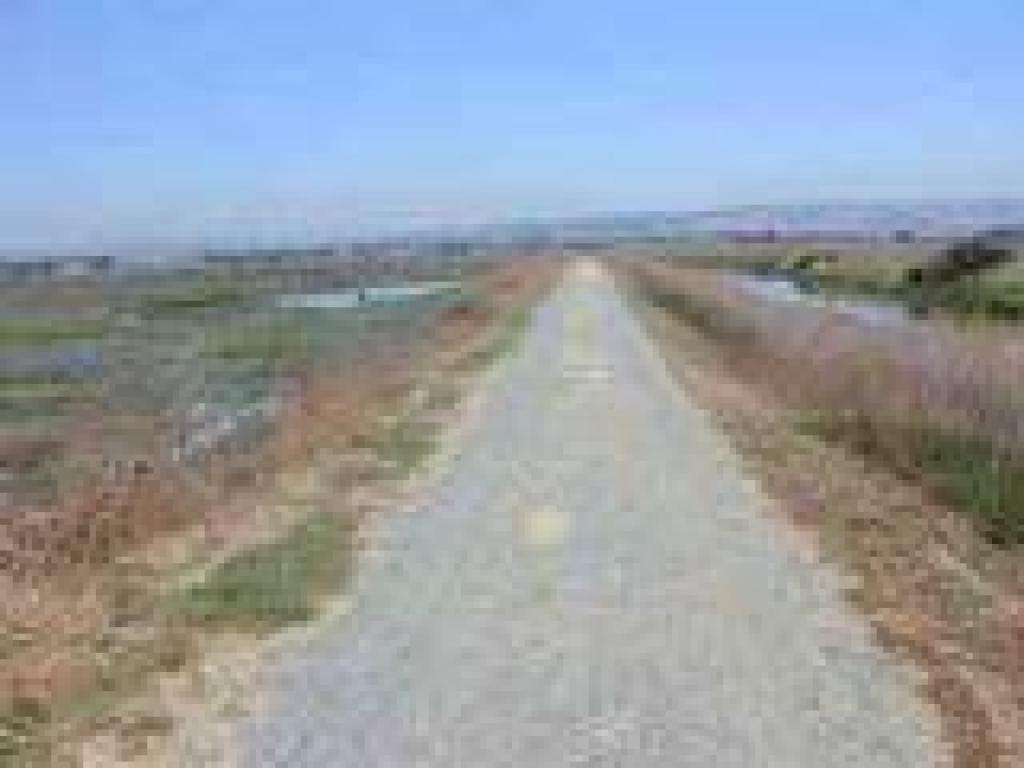 Trail