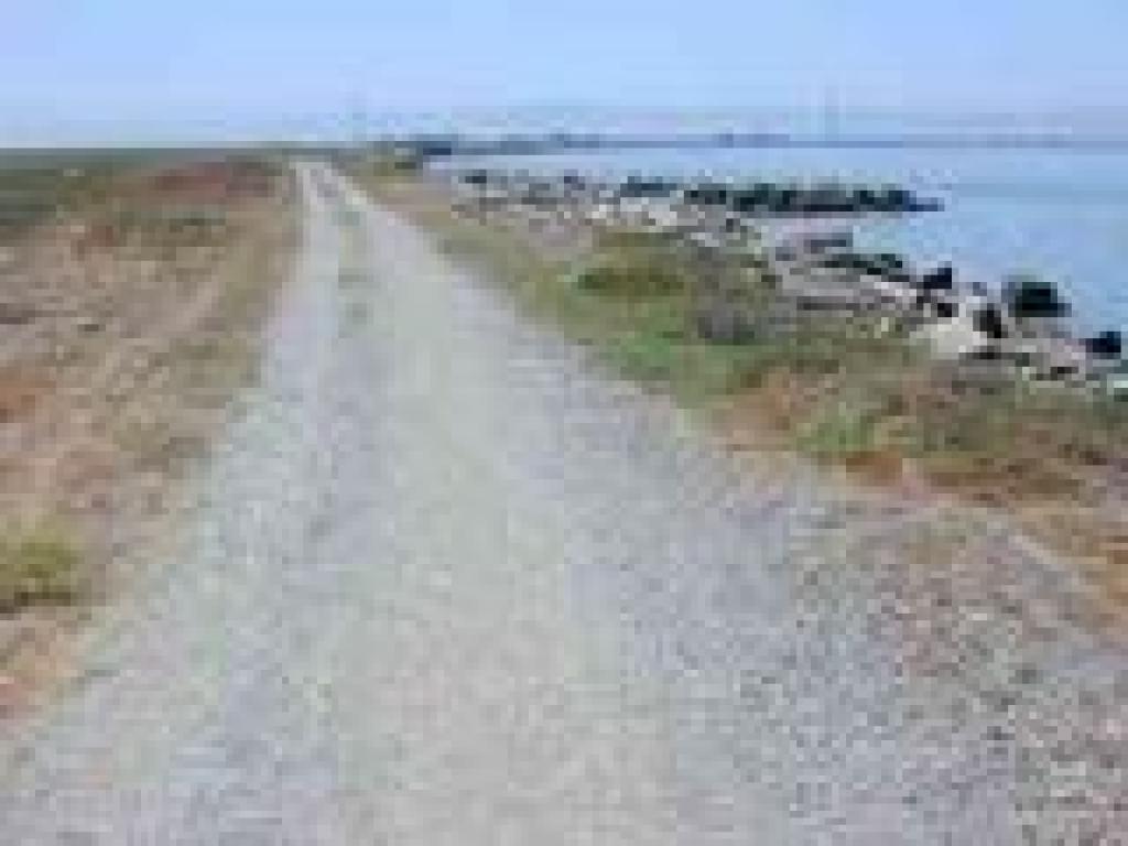 Trail