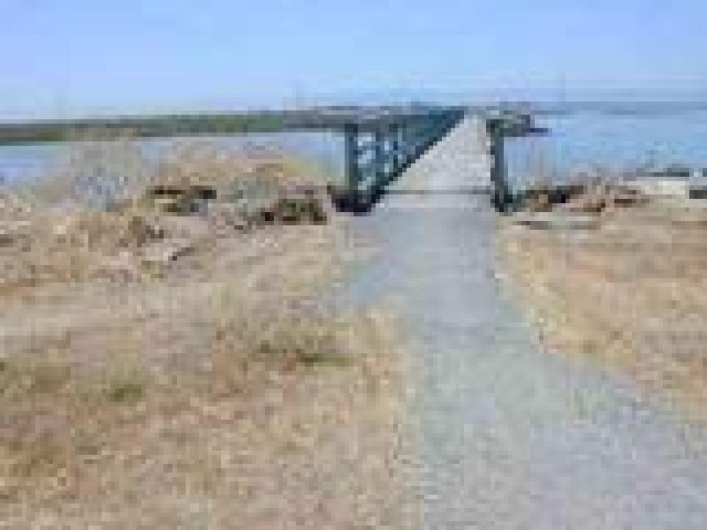 Bridge