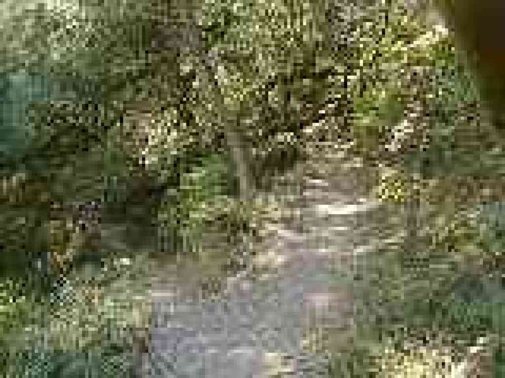 Junction