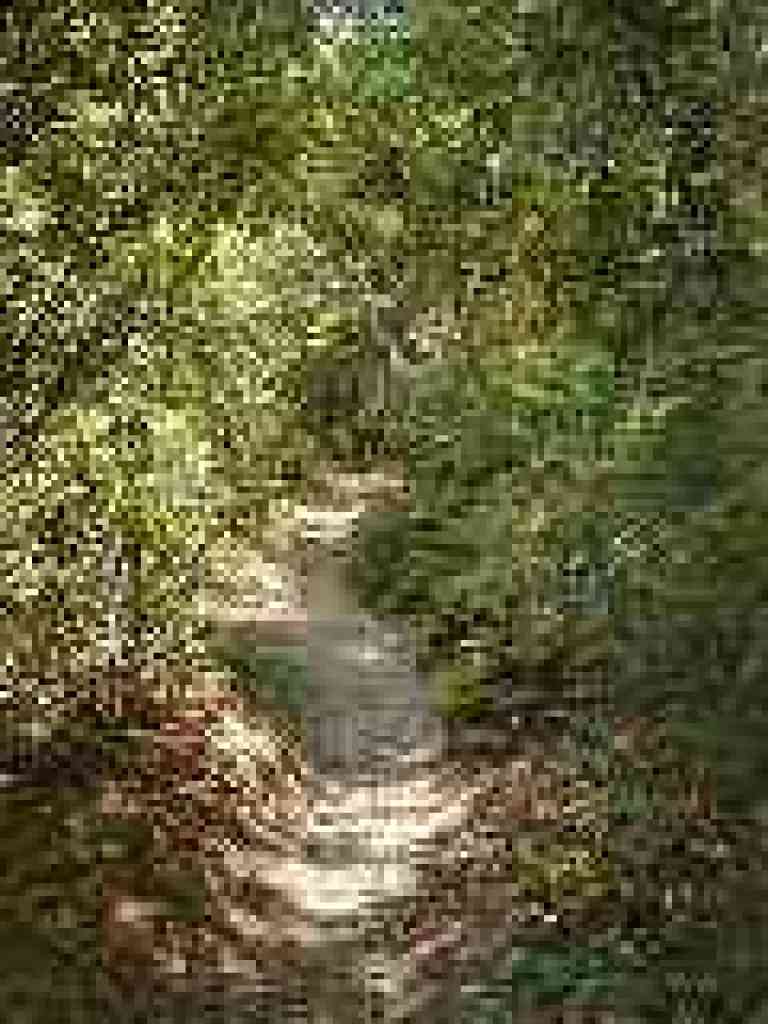 Path