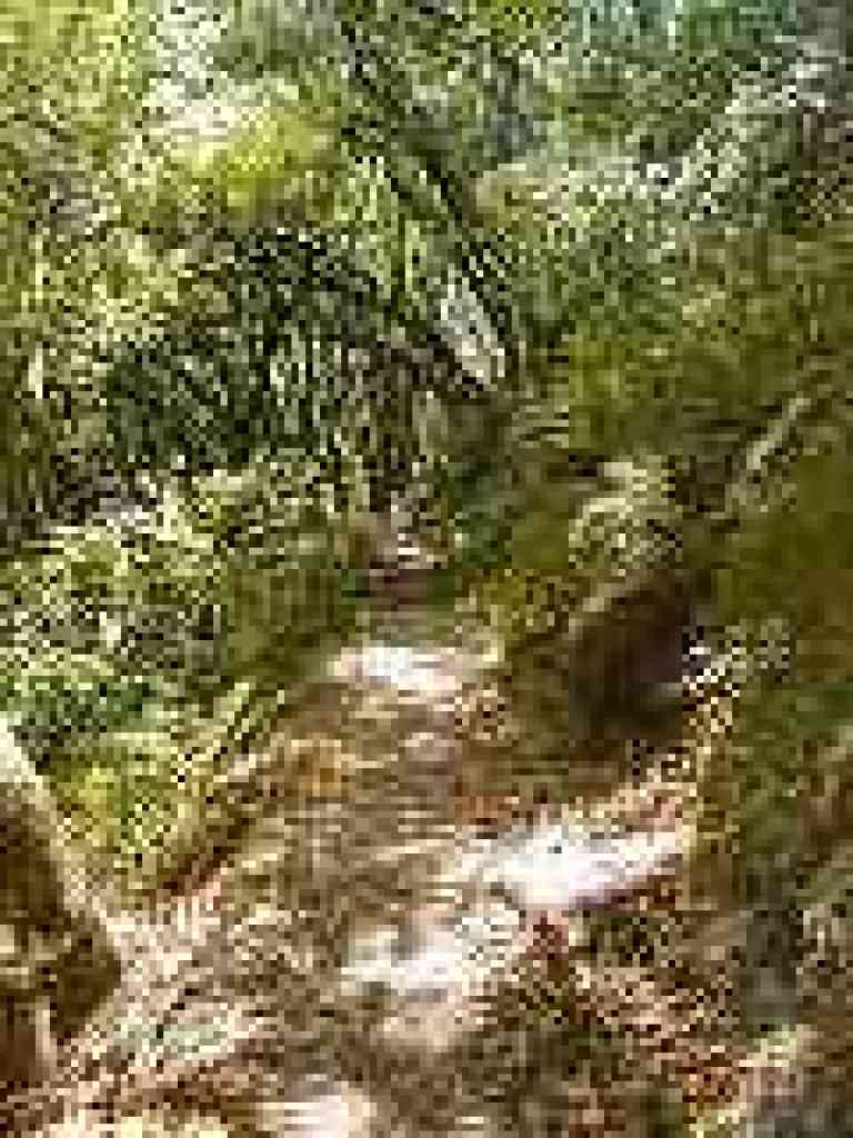 Starting uphill
