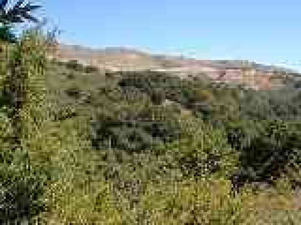 View east