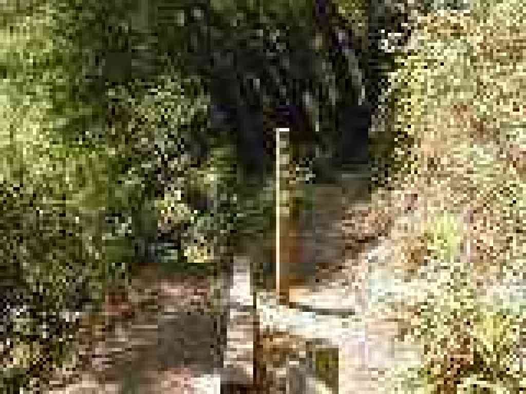 Junction