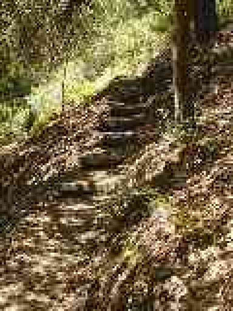 Steps
