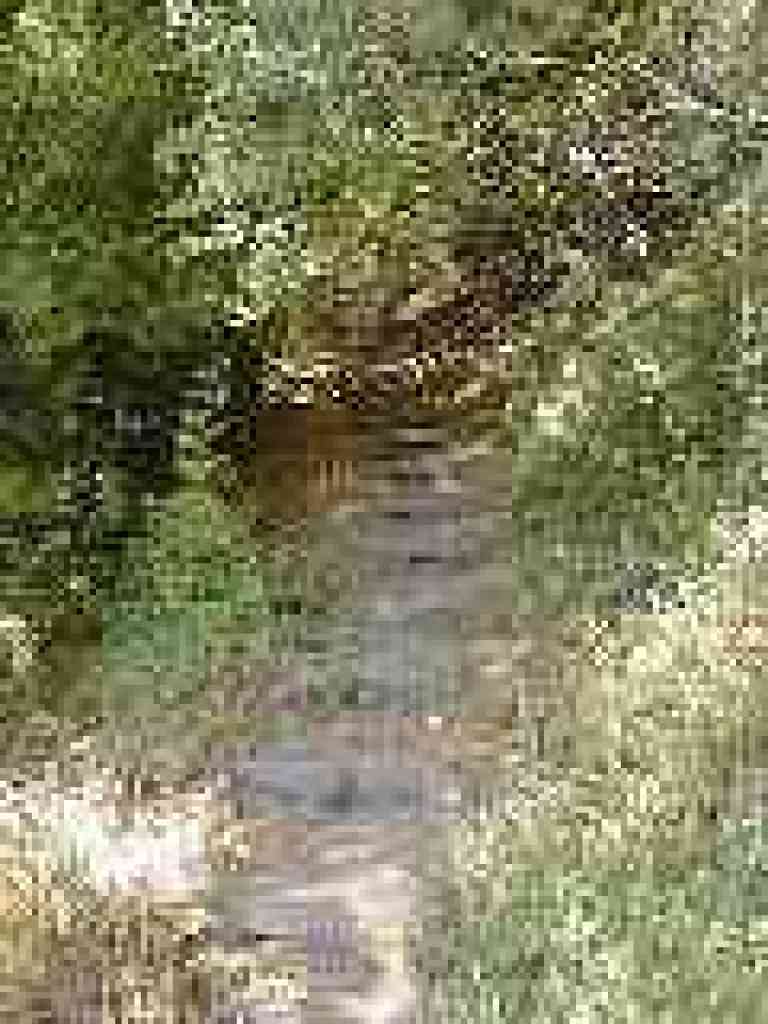 Steps