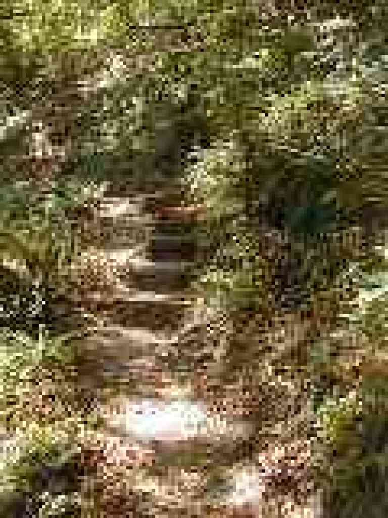Steps