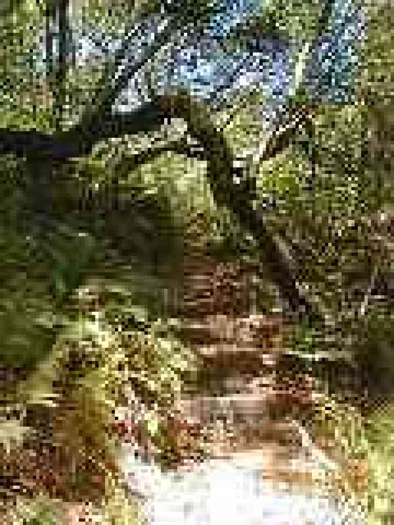 Steps