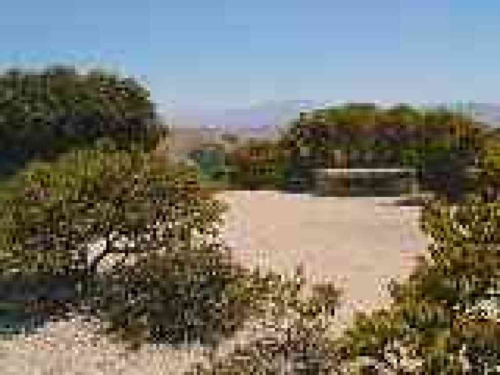 Manzanitas