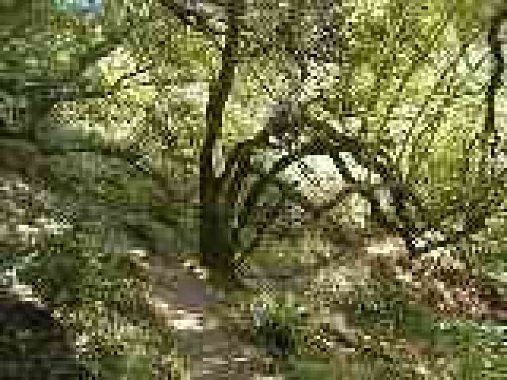 Back under shade