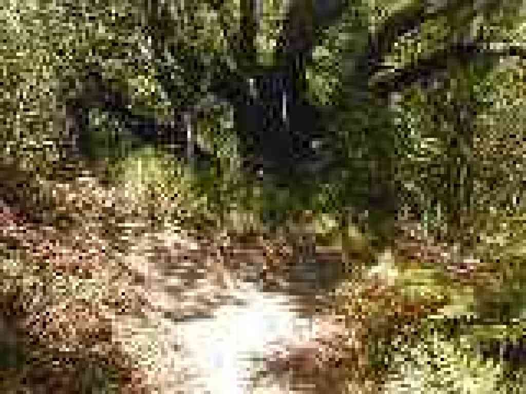 Junction