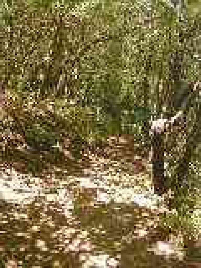 A few steps downhill