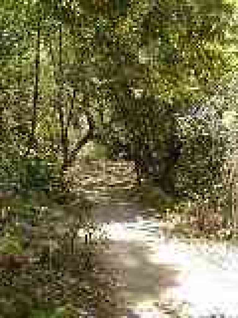 Near the end