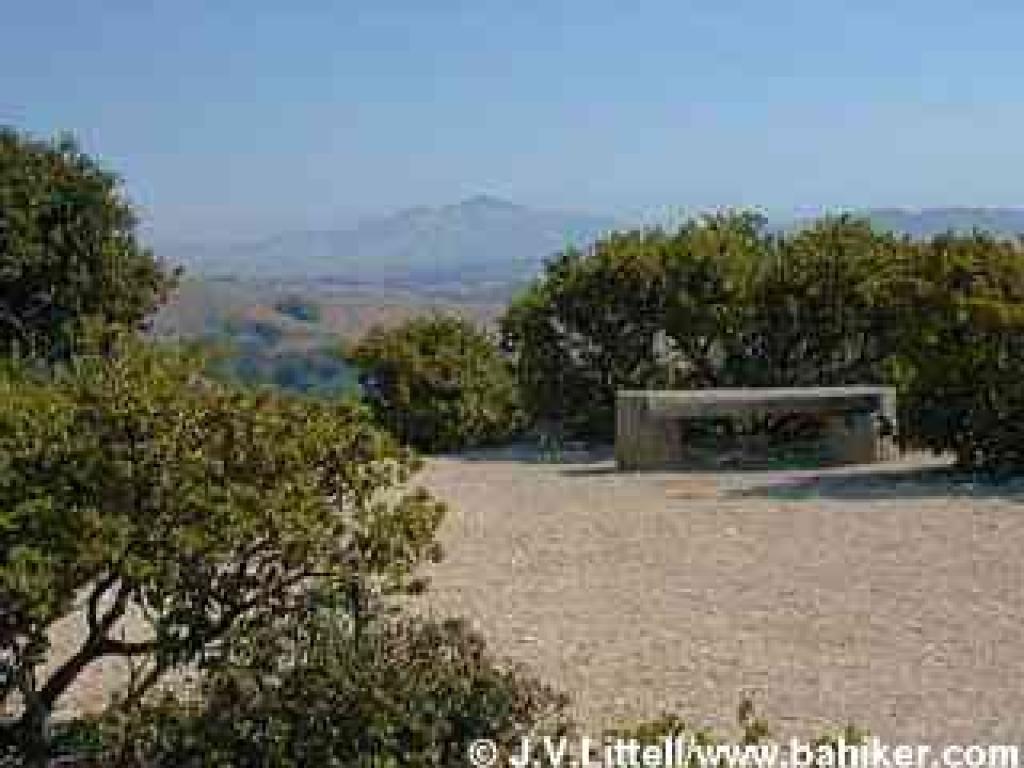 Manzanitas and view of Mount Diablo