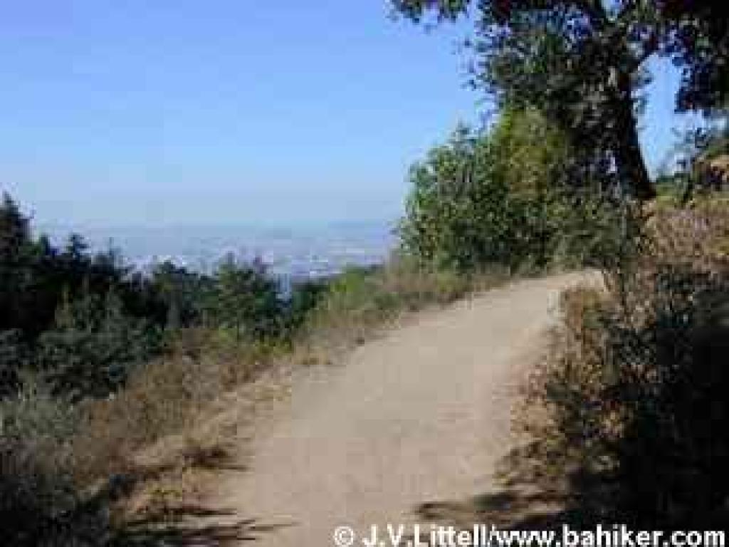 View from Sequoia Bayview Trail