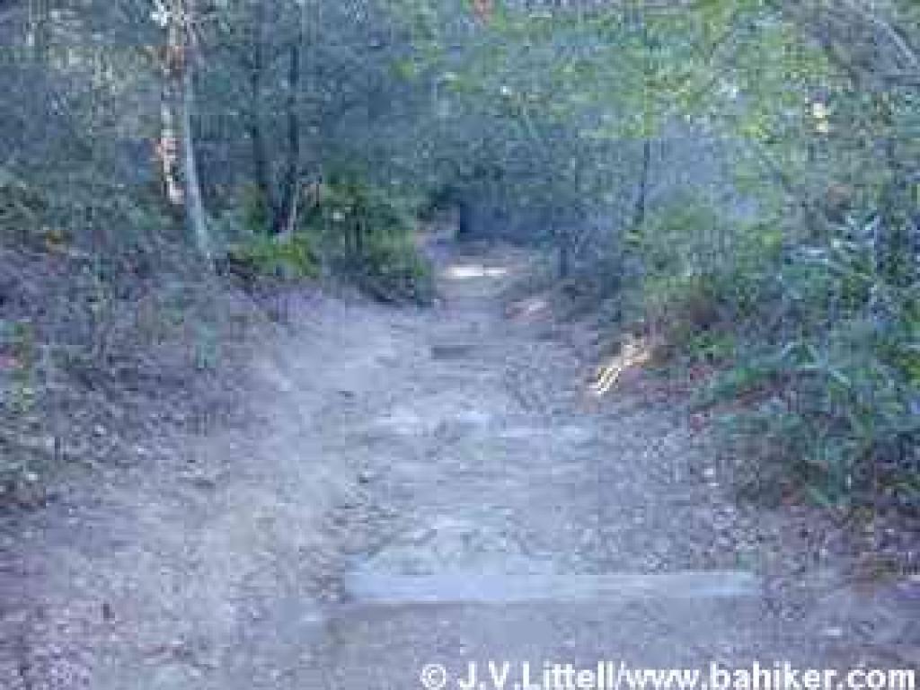 Erosion on Chaparral Trail