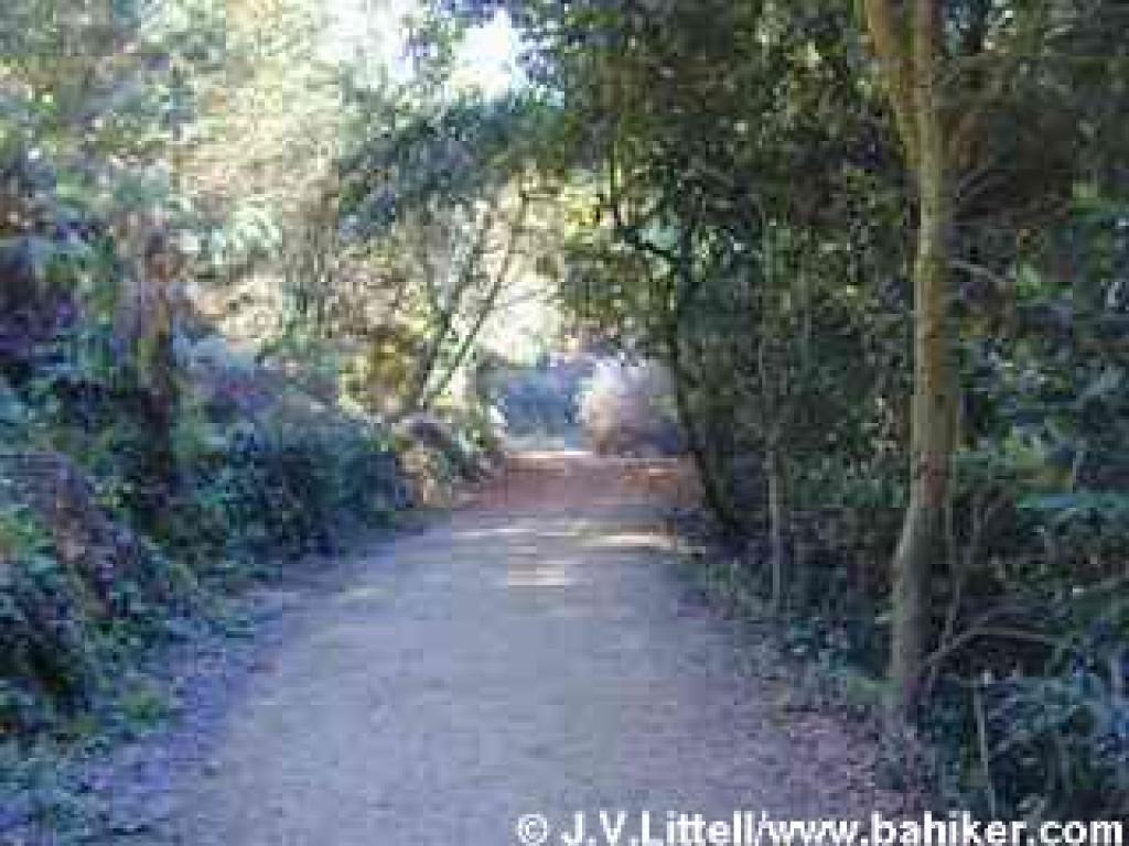 Sunset Trail